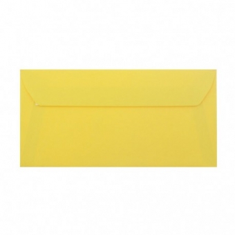 PLIC DL COLOR SILICONIC DACO PC12G GALBEN
