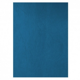 Coperta carton imitatie piele set 100 ECADA A