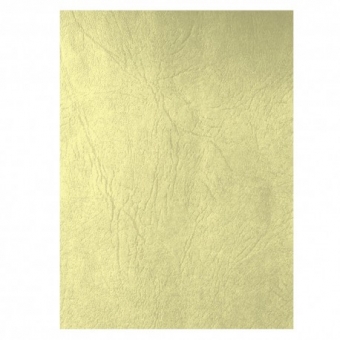 Coperta carton imitatie piele set 100 ECADA C
