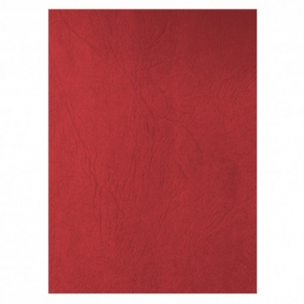 Coperta carton imitatie piele set 100 ECADA R