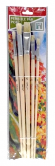 Pensula set 5 par porc DACO PN395