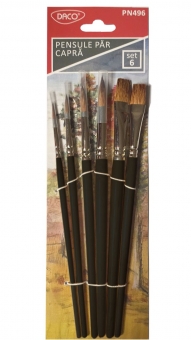 Pensula set 6 par capra DACO PN496