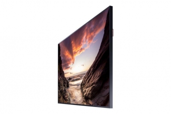 MONITOR 43