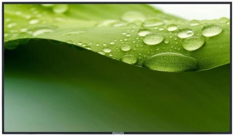 MONITOR 42