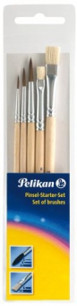 Set 5 Pensule Starter ( Seria 24 : 2,4,6 + Seria 613F : 6,10)
